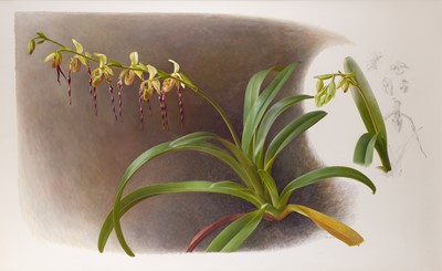 Lot 82 - Raymond Booth (1929-2015) “Orchid” (1994)...