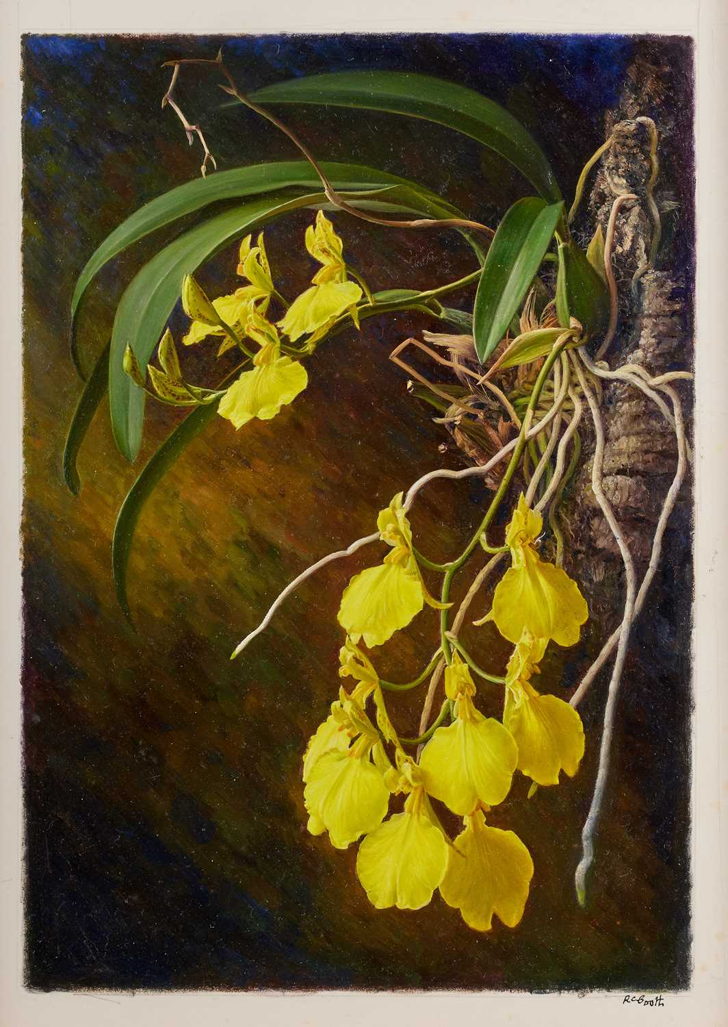 Lot 84 - Raymond Booth (1929-2015) “Oncidium” Signed,...