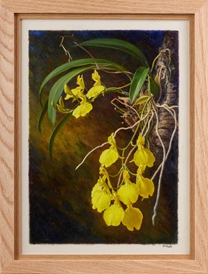 Lot 84 - Raymond Booth (1929-2015) “Oncidium” Signed,...