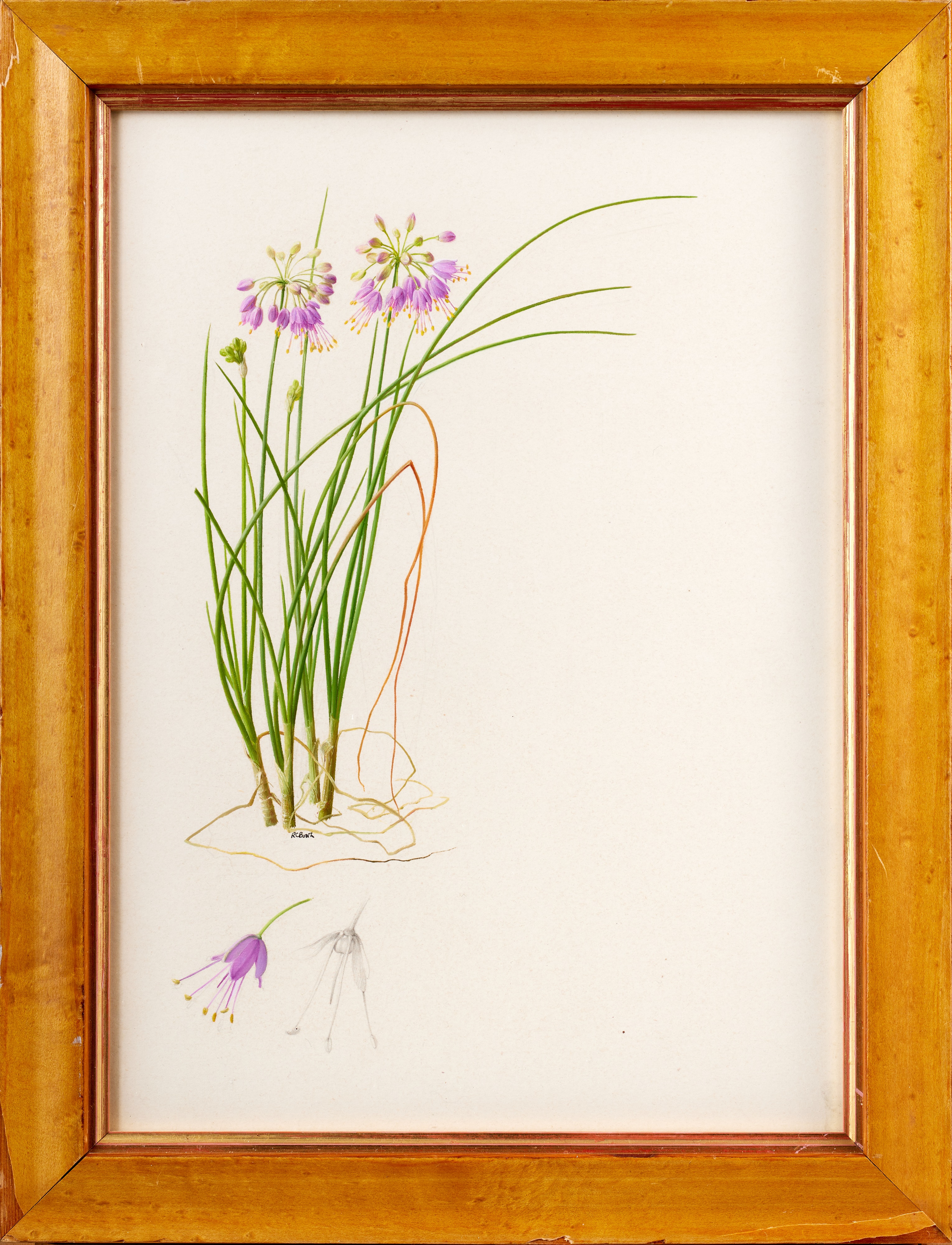 Lot 65 - Raymond Booth (1929-2015) “Allium” Signed,
