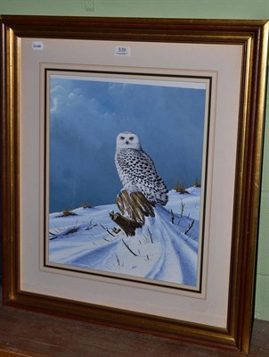 Lot 539 - Ralph Waterhouse (b.1943) Study of a snowy owl, signed, inscribed verso ";Best wishes to...