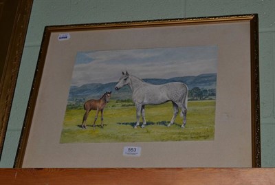 Lot 553 - DM & EM Alderson, framed watercolour study of a grey mare and foal, signed and dated 1970