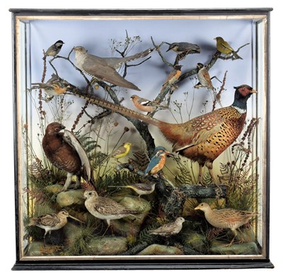 Lot 2060 - Taxidermy: A Late Victorian / Early Edwardian...