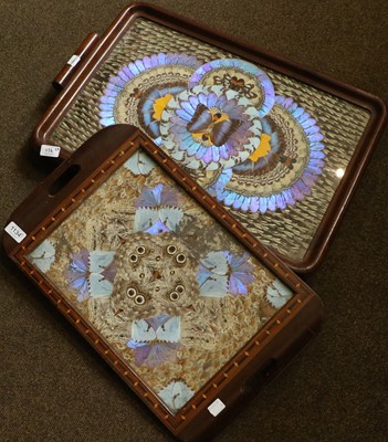 Lot 171 - Two Mahogany Framed Butterfly Wing Trays