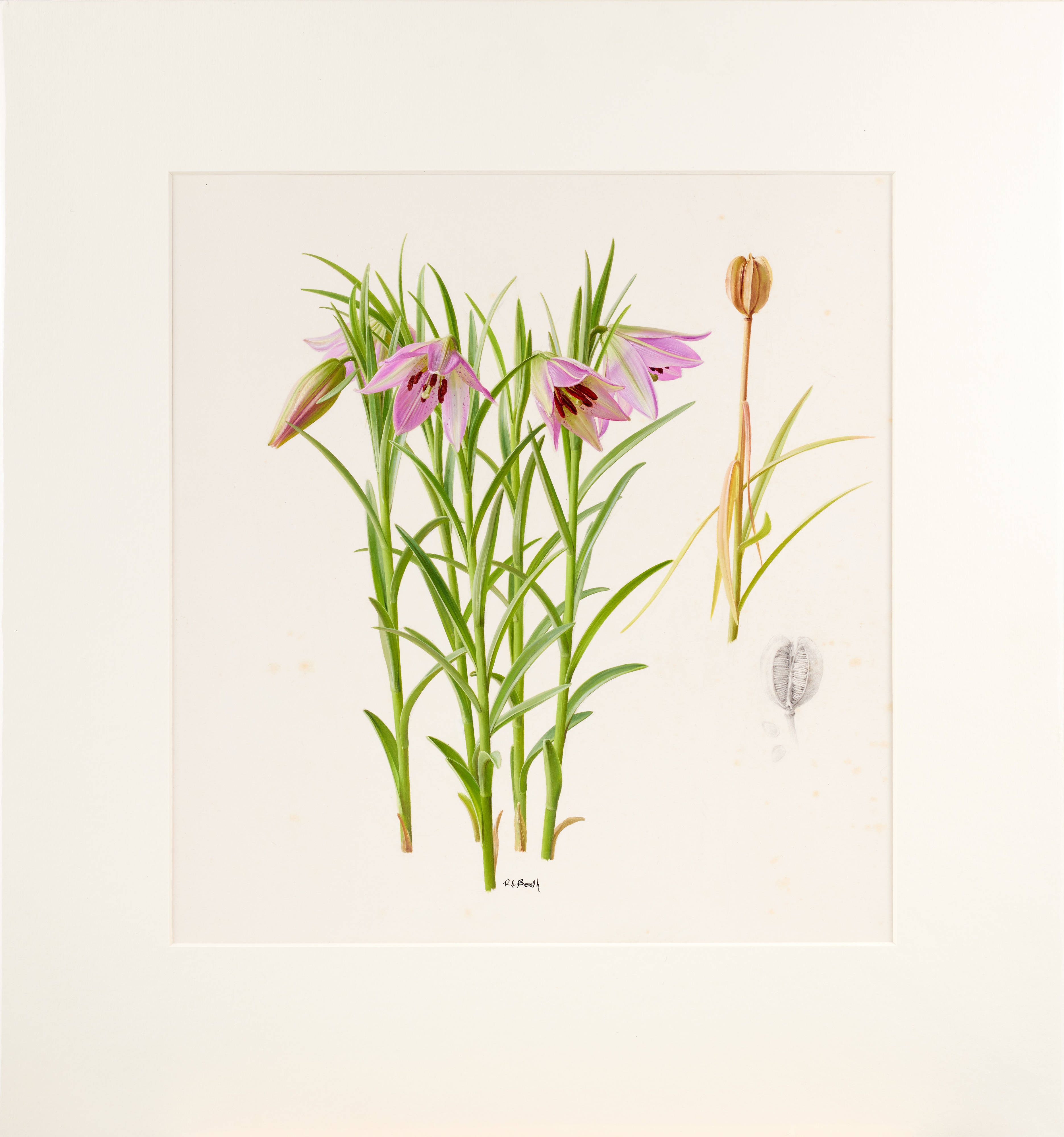 Lot 70 - Raymond Booth (1929-2015) 