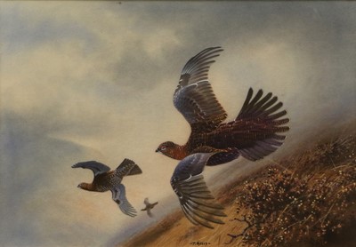 Lot 579 - Peter Allis (b.1944) Grouse in flight across...