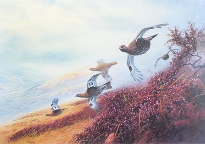 Lot 1029 - After Peter Allis (b.1944) Grouse in flight...