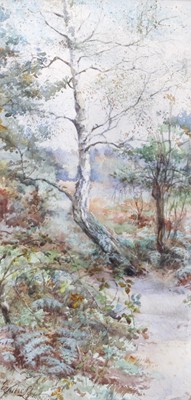 Lot 1050 - Emilie Lambert (19th Century) Woodland path...