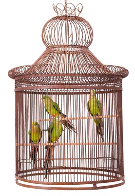 Lot 2169 - Taxidermy: A Bird Cage of Superb Parrots...