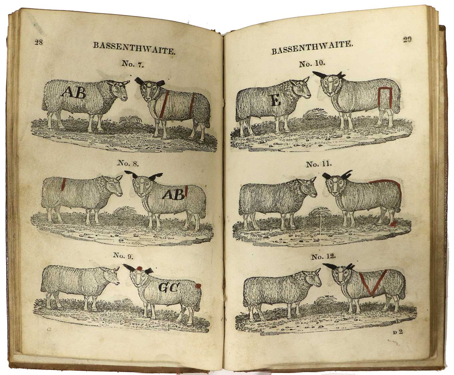 Lot 85 - Cumbrian Agriculture. The Shepherds Guide; or...