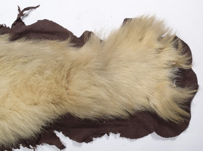 Lot 2073 - Taxidermy: Polar Bear Skin (Ursus maritimus),...