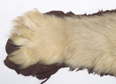 Lot 2073 - Taxidermy: Polar Bear Skin (Ursus maritimus),...