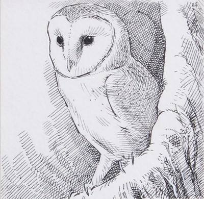 Lot 1060 - Robert Gillmore MBE PPSWLA (b.1936) "Barn Owl"...