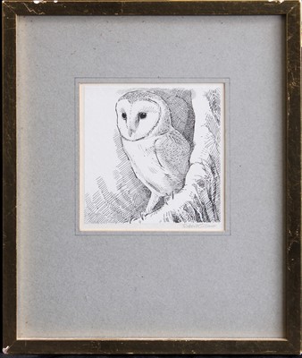 Lot 1060 - Robert Gillmore MBE PPSWLA (b.1936) "Barn Owl"...