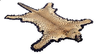 Lot 2173 - Taxidermy: Indian Leopard Skin Rug (Panthera...