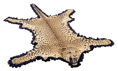 Lot 2173 - Taxidermy: Indian Leopard Skin Rug (Panthera...