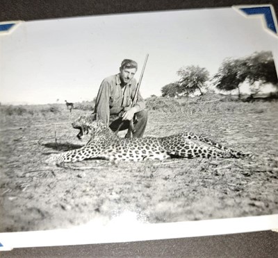 Lot 2173 - Taxidermy: Indian Leopard Skin Rug (Panthera...