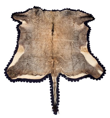 Lot 2079 - Skins/Hides: A Nilgai Antelope Hide...