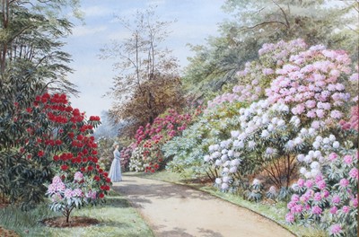 Lot 1172 - Marion Emma Chase (1844-1905) "Rhododendron"...