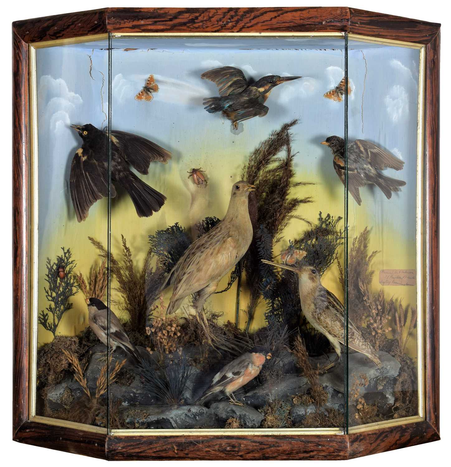 Lot 2068 - Taxidermy: A Victorian Display of British...