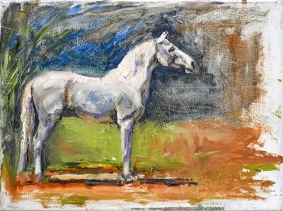 Lot 1059 - Jane Braithwaite (Contemporary) Study of a...