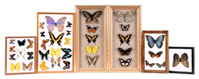 Lot 2098 - Entomology: A Collection of Various Tropical...