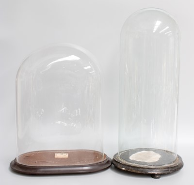 Lot 133 - A Glass Dome, on ebonised plinth, 48cm,...