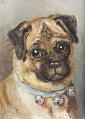 Lot 1206 - British School (20th Century) Study of a Pug,...