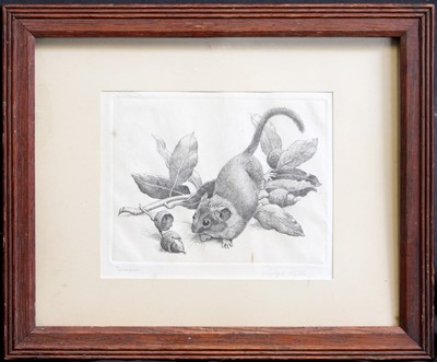 Lot 1006 - Winifred Austin (1876-1964) ''Doormouse''...