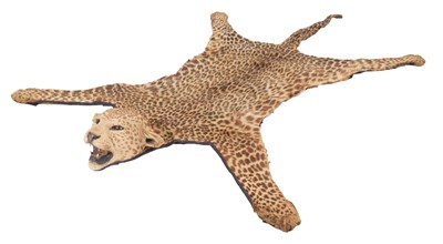 Lot 2273 - Taxidermy: African Leopard Cub Skin Rug...