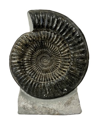 Lot 2204 - Fossils: A Large Ammonite Specimen...