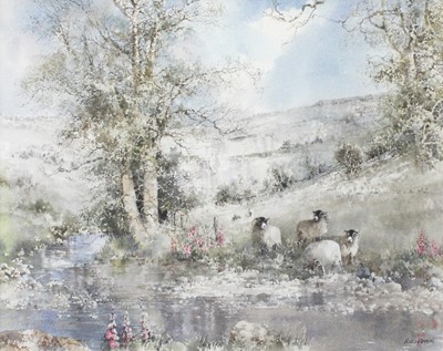 Lot 1035 - Nancy Dyson (Contemporary) Swaledale Sheep on...