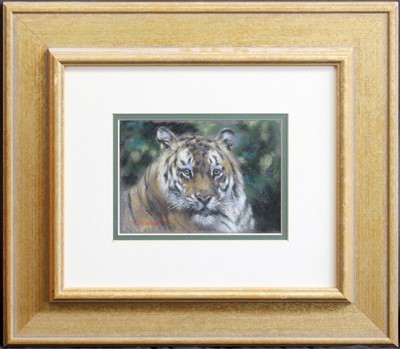Lot 1021 - Joel Kirk (b.1948) Head study of a tiger...