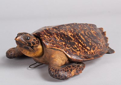 Lot 2234 - Taxidermy: Hawksbill Sea Turtle (Eretmochelys...