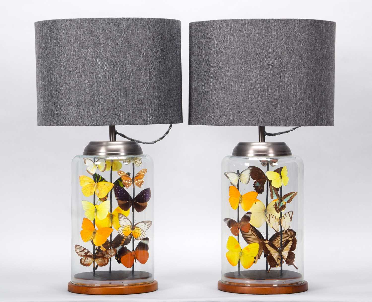 Lot 2103 - Entomology: A Pair of Glass Jar Butterfly...