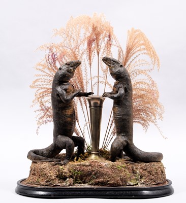 Lot 2152 - Anthropomorphic Taxidermy: A Victorian Pair of...