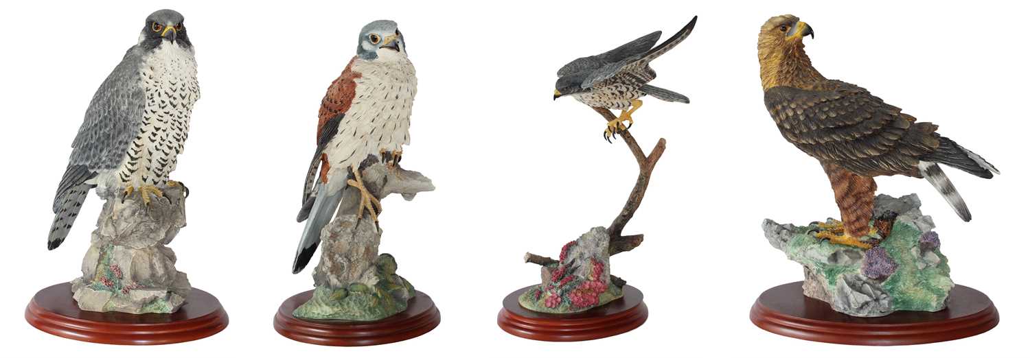 Lot 2167 - Border Fine Arts Studio Birds of Prey Models,...