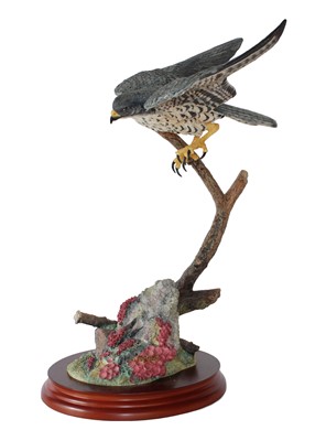 Lot 2167 - Border Fine Arts Studio Birds of Prey Models,...