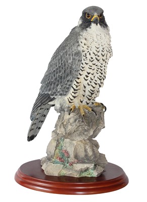 Lot 2167 - Border Fine Arts Studio Birds of Prey Models,...