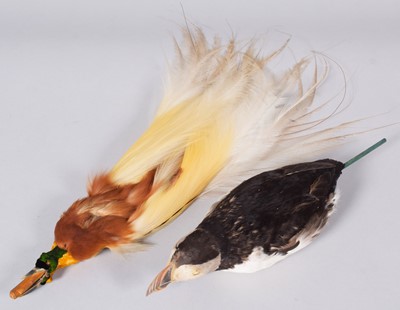 Lot 2201 - Taxidermy: A Lesser Bird-of-Paradise &...