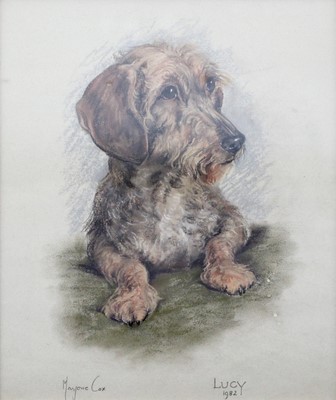 Lot 1036 - ~ Margorie Cox (1915-2003) ''Lucy'' study of a...