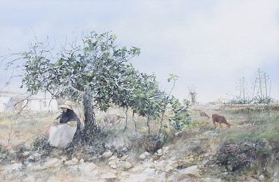 Lot 1038 - David Biglands (Contemporary) ''Little Tree,...