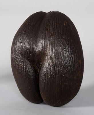 Lot 168 - Natural History: A Large Coco de Mer Nut...