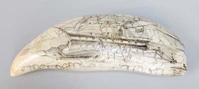 Lot 102 - Natural History: A Large Scrimshaw Decorated...