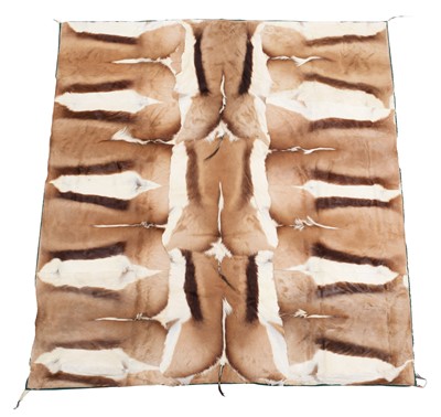 Lot 2241 - Skins/Hides: A South African Springbok Hide...