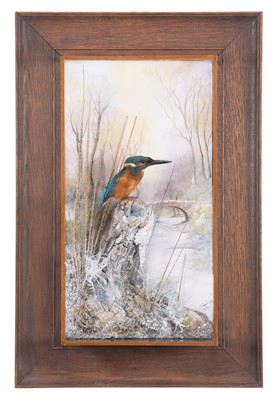 Lot 2269 - Taxidermy: A Wall Cased European Kingfisher...