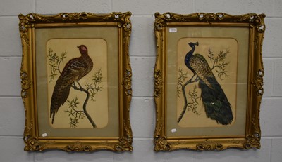Lot 1519 - A Pair of Victorian Featherwork Pictures, one...