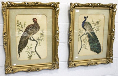 Lot 1519 - A Pair of Victorian Featherwork Pictures, one...