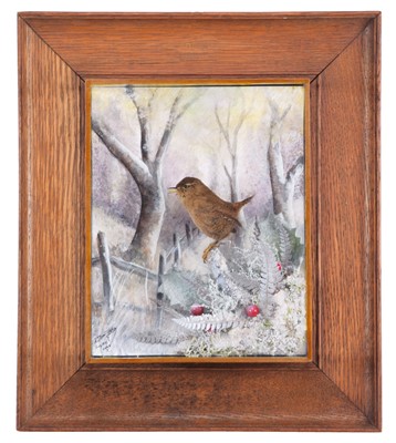 Lot 2128 - Taxidermy: A Wall Cased Eurasian Wren or Jenny...