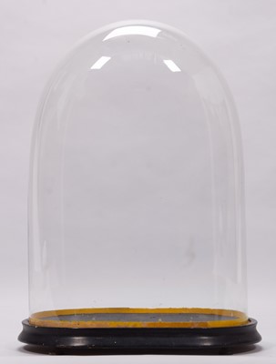 Lot 2239 - Glass Dome: A Period Oval Glass Dome, a large...